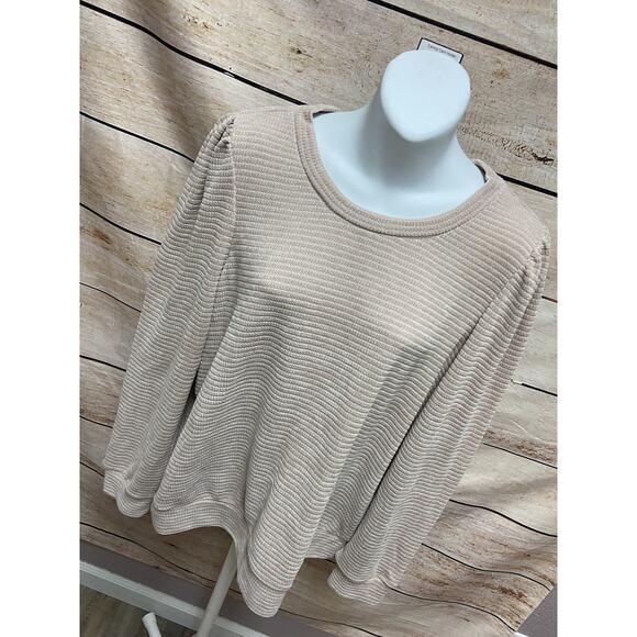Chenault Womens Sweater Size XL Womens Beige New Pullover Long Sleeve - Picture 2 of 11